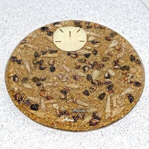 Florida souvenir trivet round Lucite acrylic beach sea shells & sand dollar